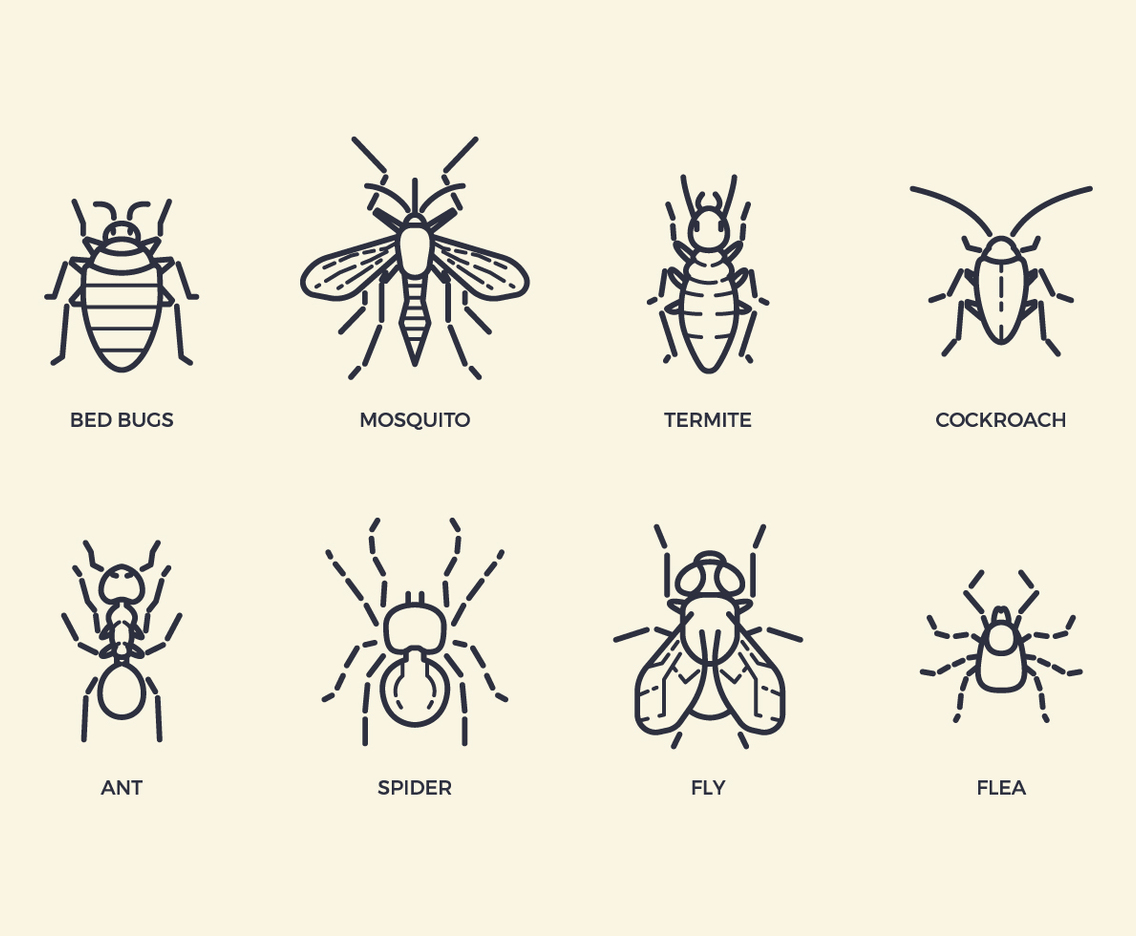 Free Pest Insect Icons