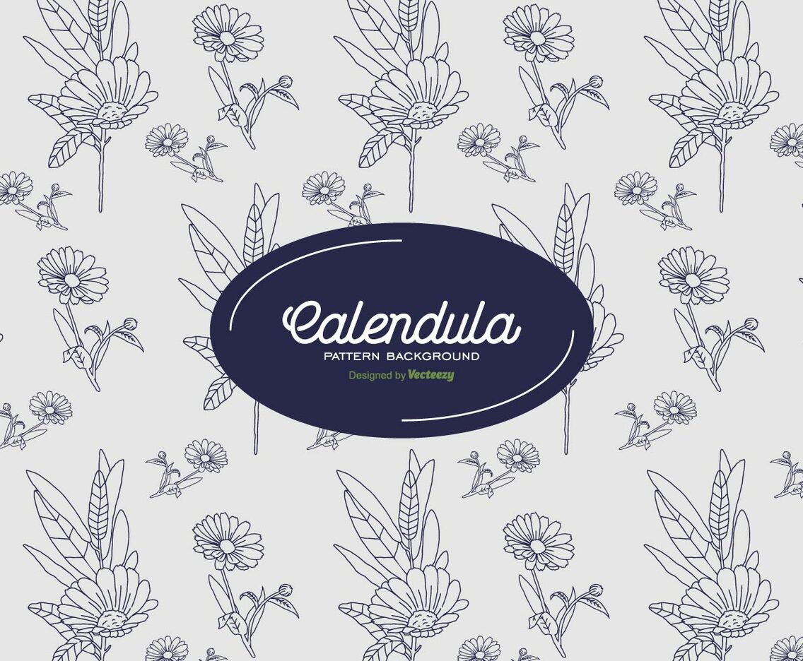 Calendula Background
