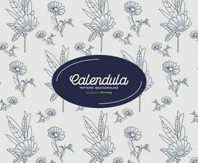 Calendula Background
