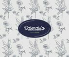 Calendula Background