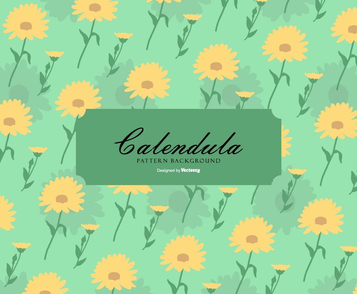 Calendula Background