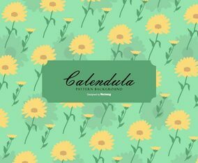 Calendula Background