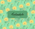 Calendula Background