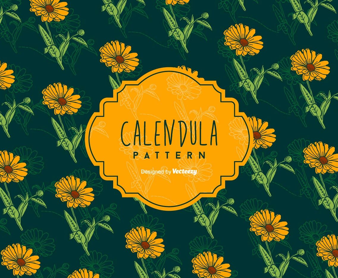 Calendula Background