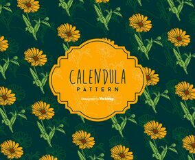 Calendula Background