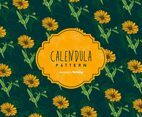 Calendula Background