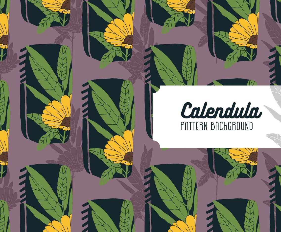 Calendula Background