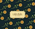 Calendula Background
