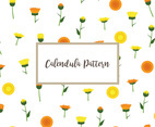 Calendula Pattern
