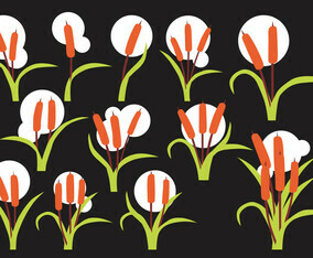 Free Cattails Vector