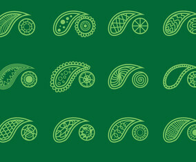 Set Of Cashmere On Green Background