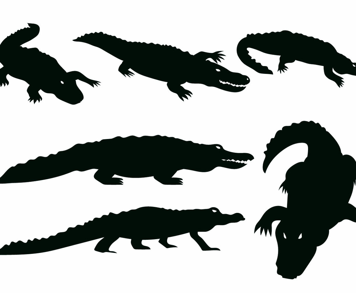 Gator vector