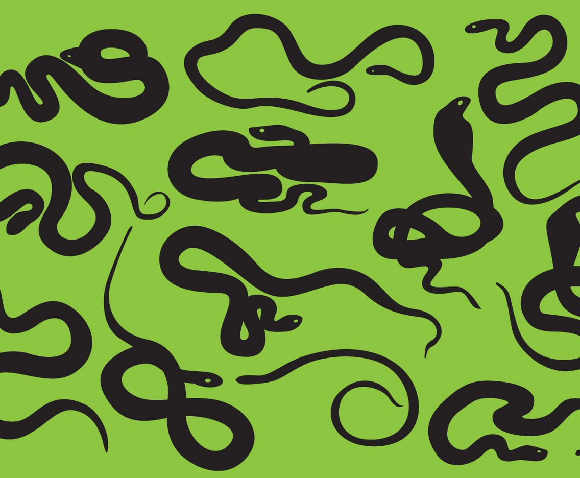 Snake Silhouettes