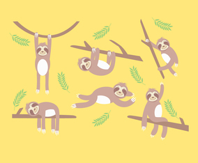 Sloth Vector