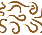 Rattlesnake Vector
