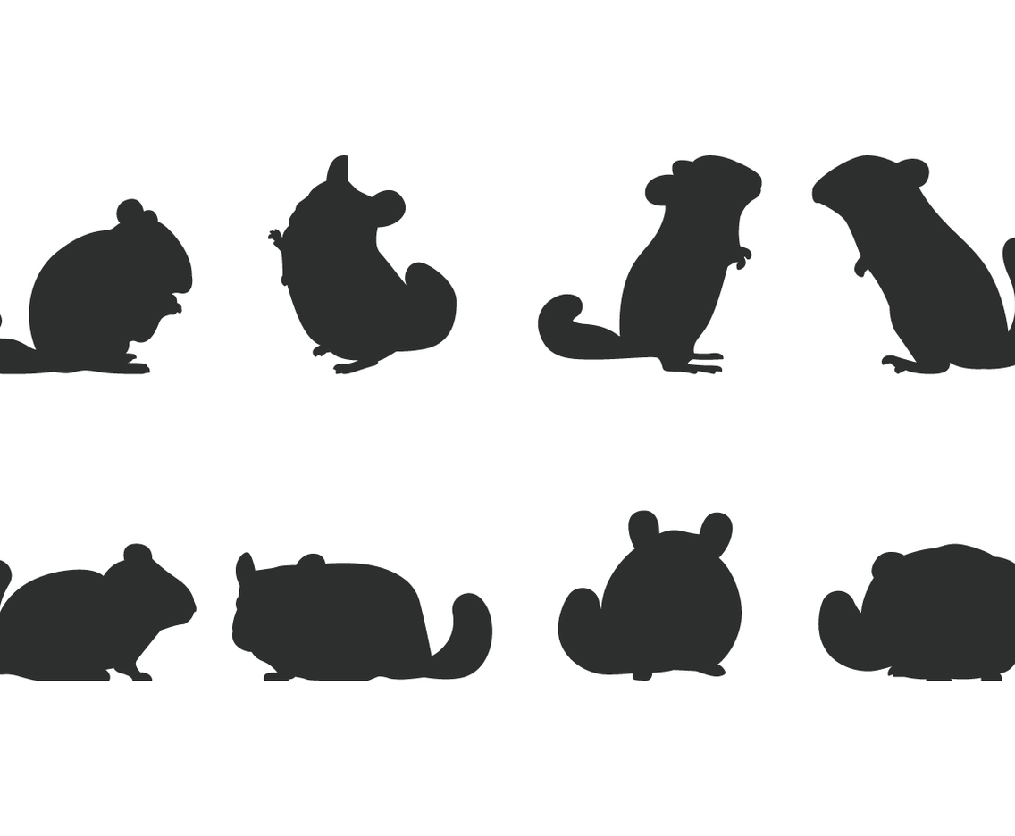 Chinchilla Silhouette
