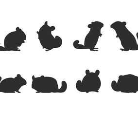 Chinchilla Silhouette