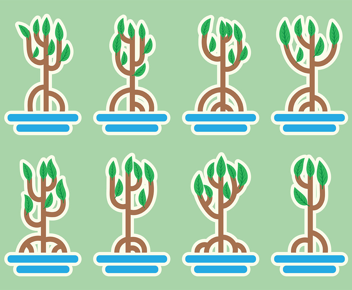 Mangrove Vector