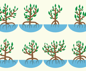 Mangrove Vector