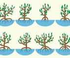 Mangrove Vector