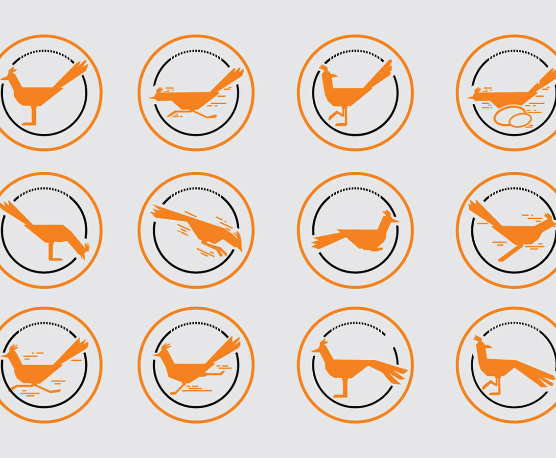 Various Silhouettes Of Roadrunner