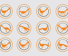 Various Silhouettes Of Roadrunner