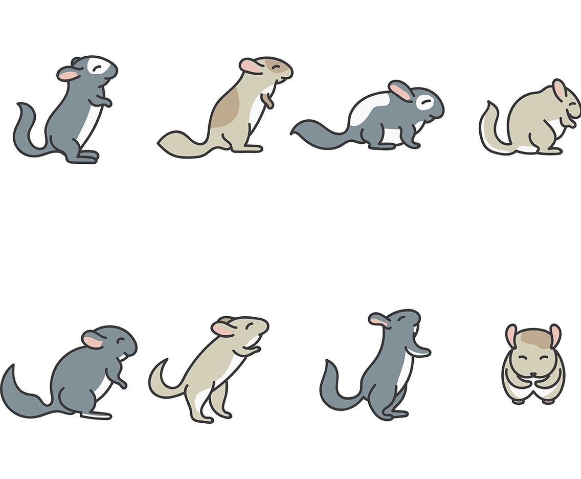 Chinchilla Vector