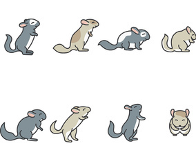 Chinchilla Vector