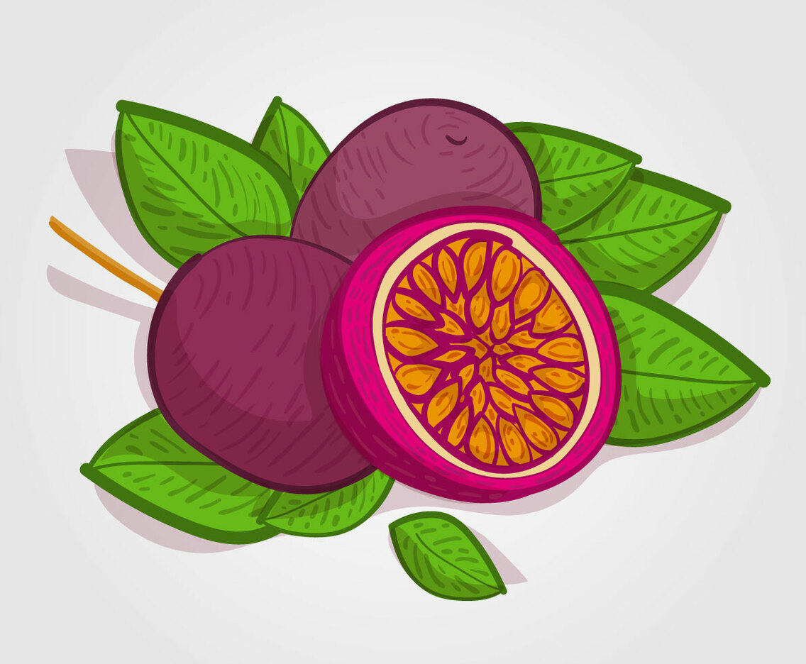 Free Passion Fruit Vector Illustration