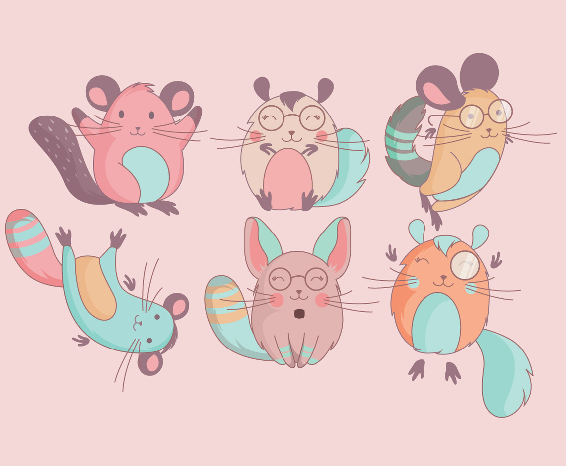 Chinchilla Vector