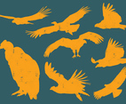 Condor Silhouettes