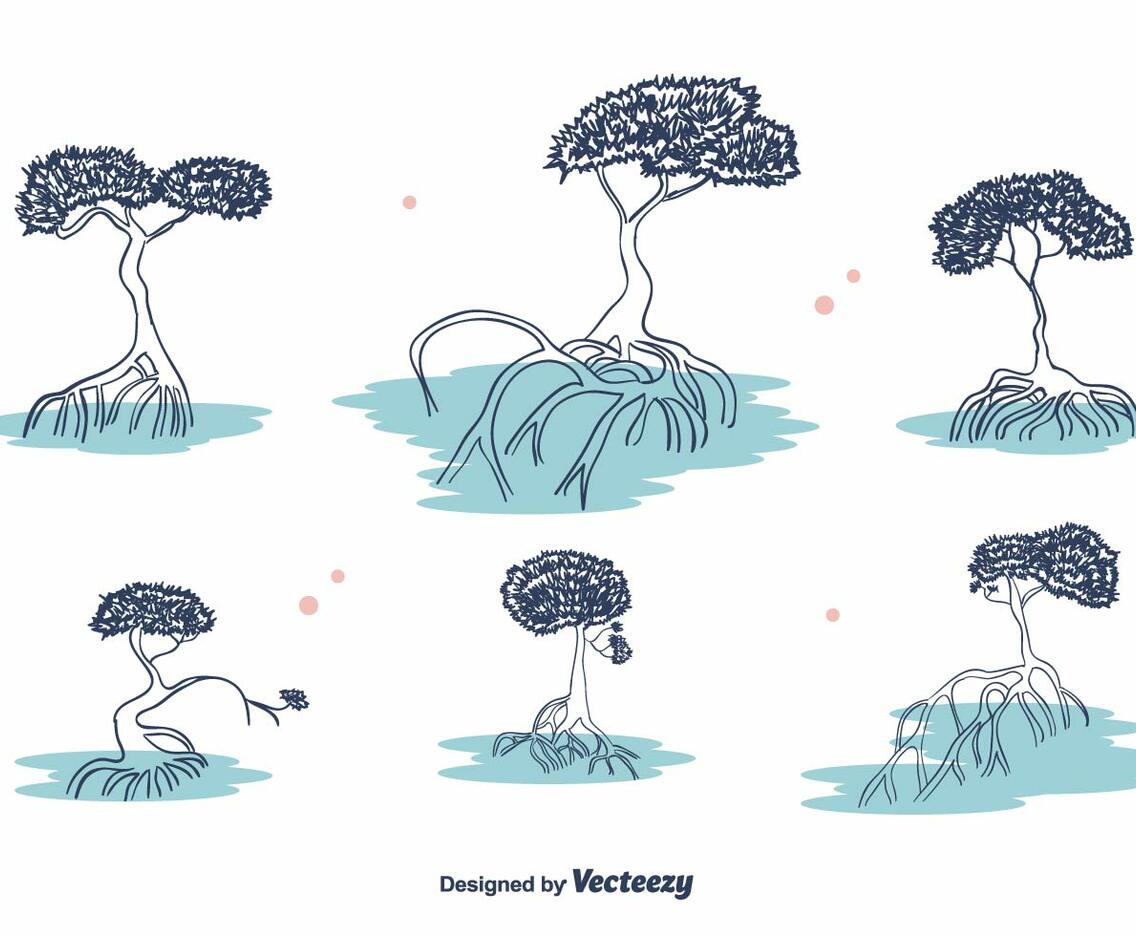 Mangrove Vector