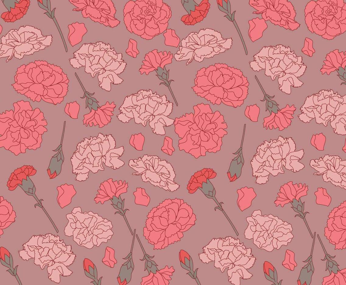 Carnation Vector