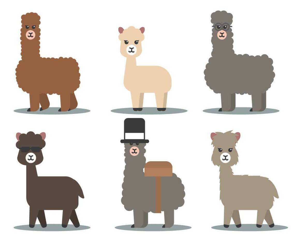 Alpaca Vector