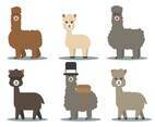 Alpaca Vector
