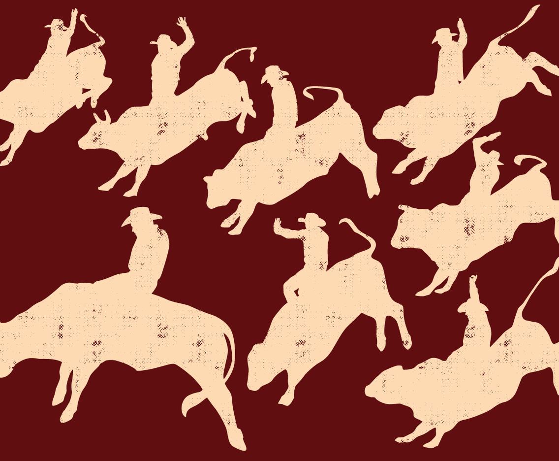Rodeo Silhouette
