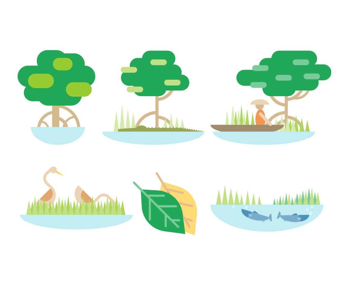 Free Mangrove Vector