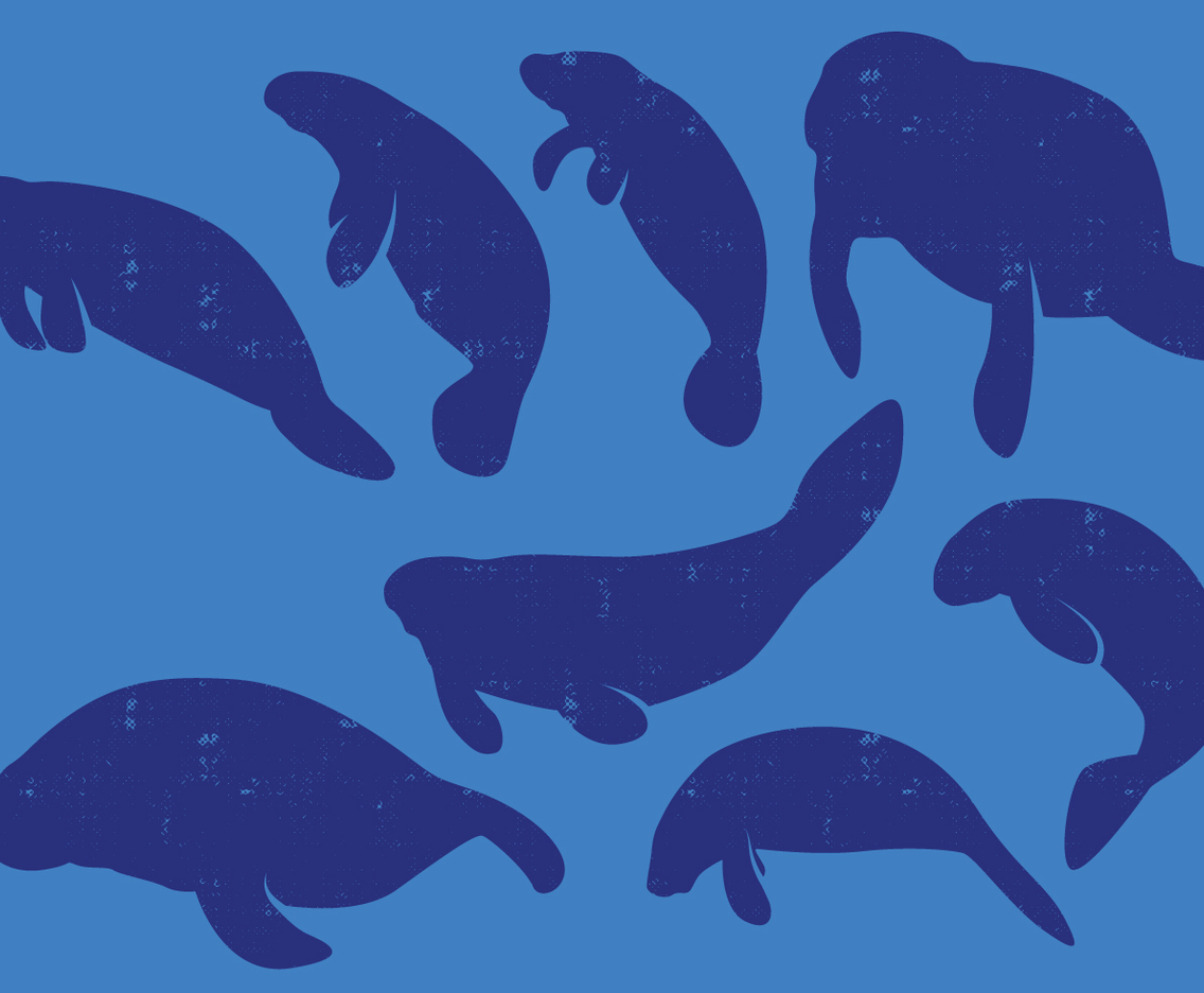 Manatee Silhouettes