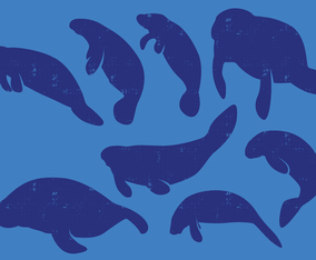 Manatee Silhouettes