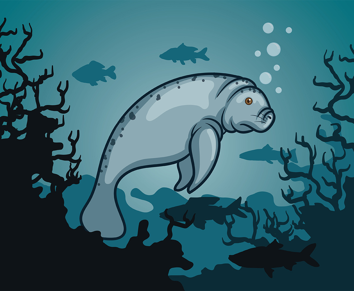 Manatee Vector