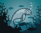Manatee Vector