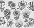 Vintage Flowers