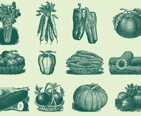 Vintage Vegetables
