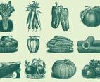 Vintage Vegetables
