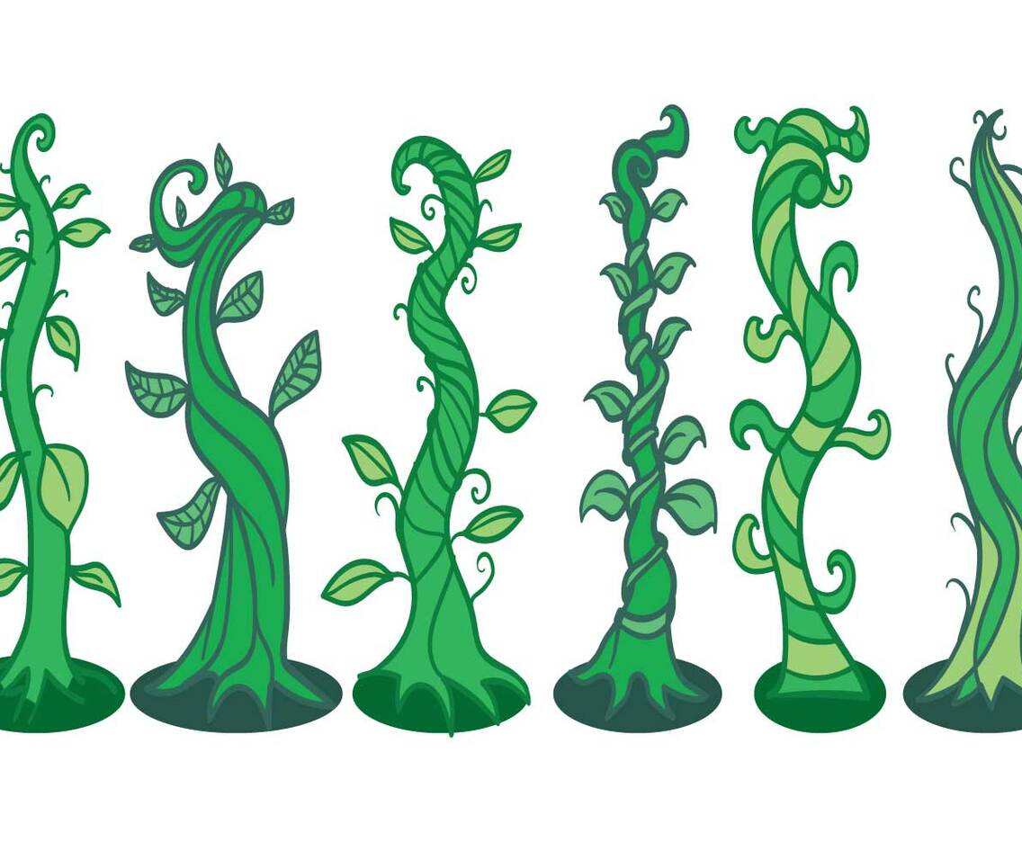 Beanstalk Vector