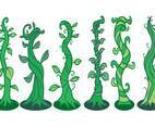 Beanstalk Vector