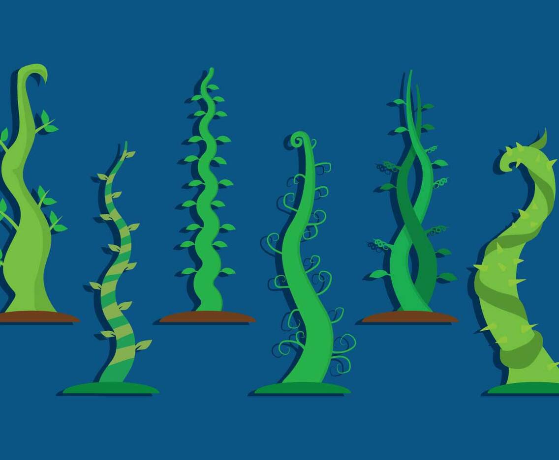 Beanstalk Vector