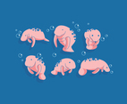 Manatee Vector
