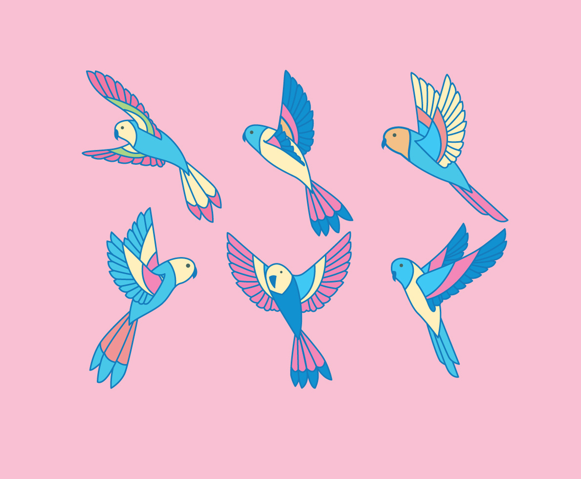 Budgie Vector
