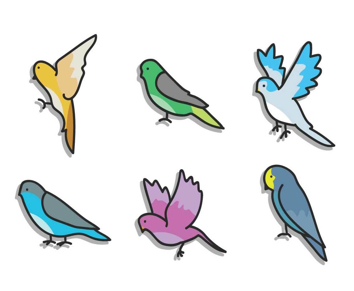 Budgie Vector